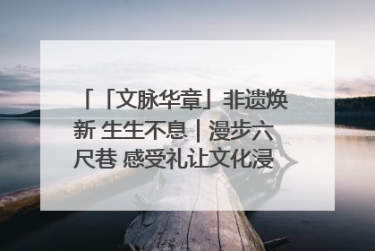 「文脉华章」非遗焕新 生生不息｜漫步六尺巷 感受礼让文化浸润的“巷”往生活